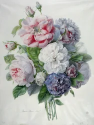 Pedaços de flores